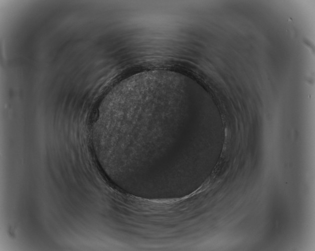 X0000091650048200709131459