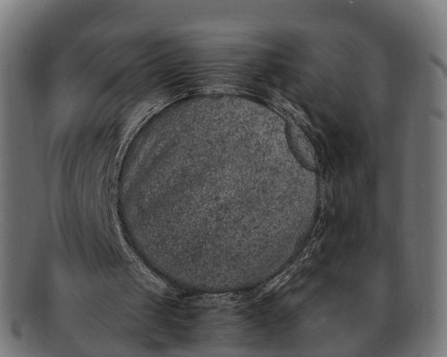 X0000091650049200709131458