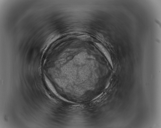 X0000091650050200709131458