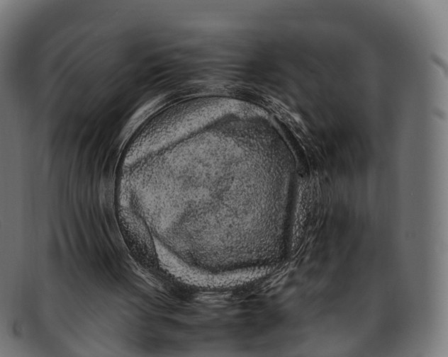 X0000091650051200709131458