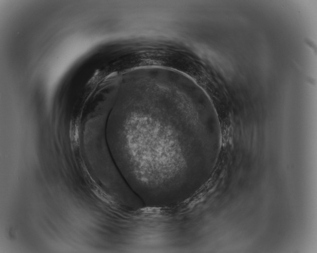 X0000091650052200709131458