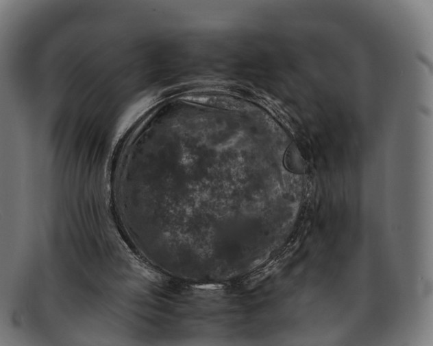 X0000091650053200709131458