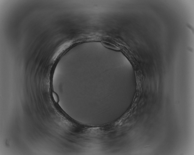 X0000091650054200709131458