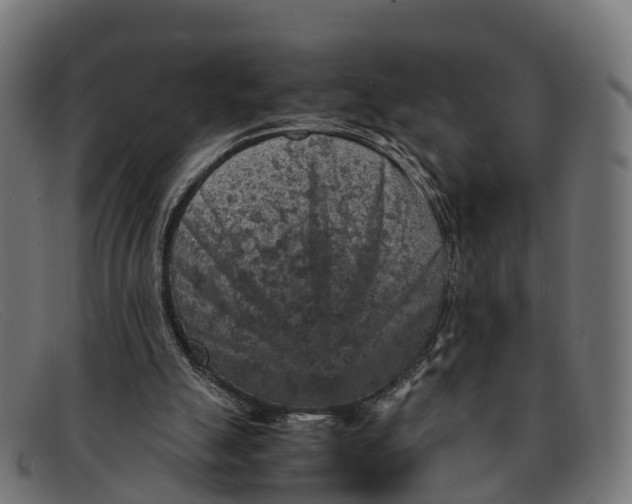 X0000091650055200709131458