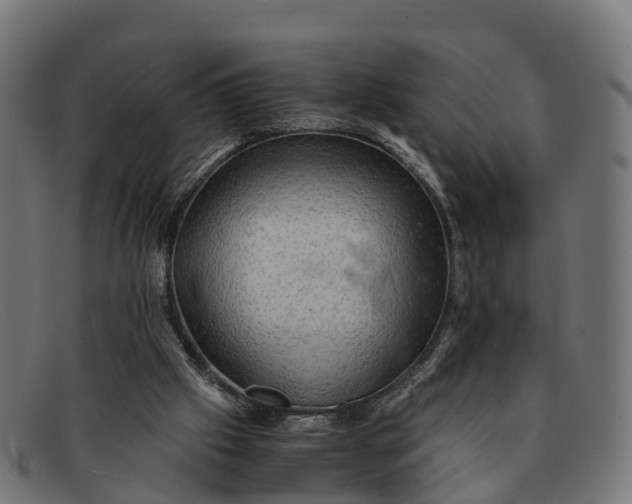 X0000091650057200709131458