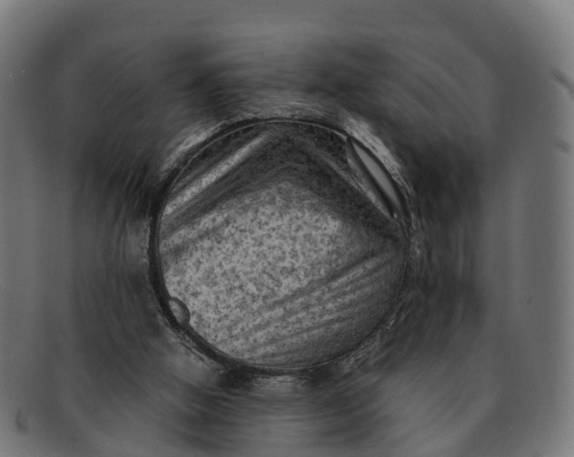 X0000091650058200709131458