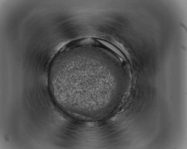 X0000091650060200709131458