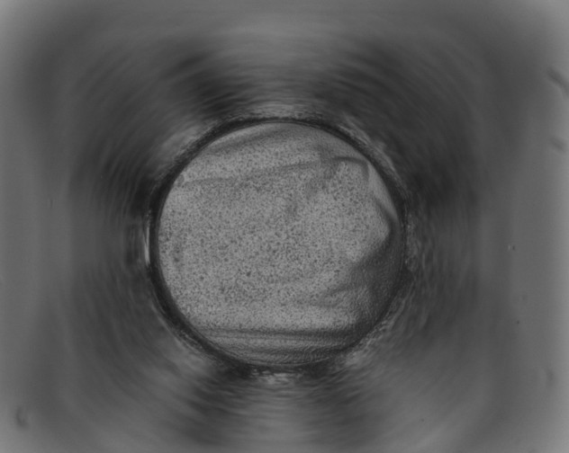 X0000091650062200709131458