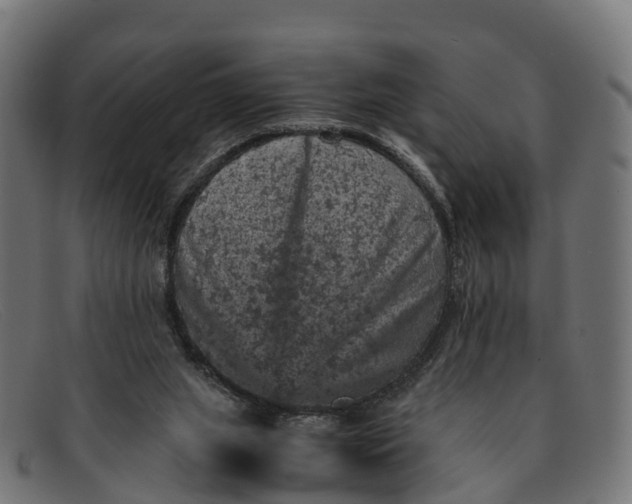 X0000091650063200709131458