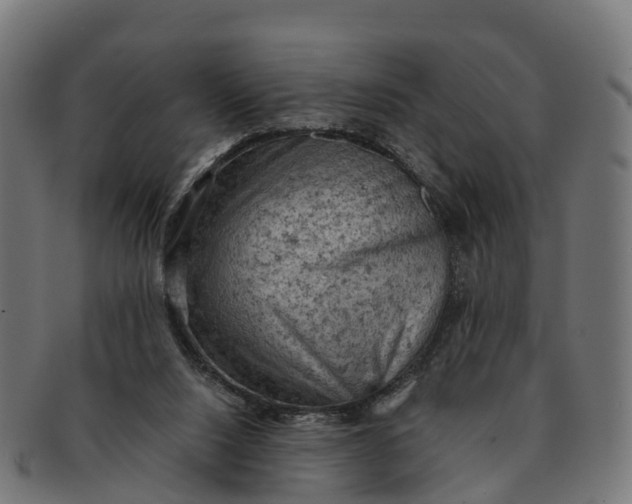 X0000091650064200709131458