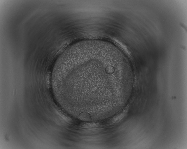 X0000091650065200709131458