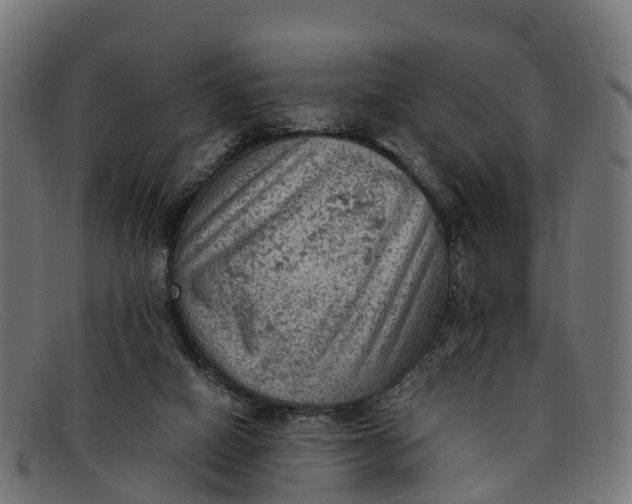 X0000091650066200709131458