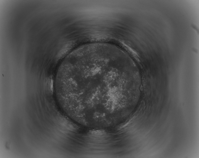 X0000091650067200709131458