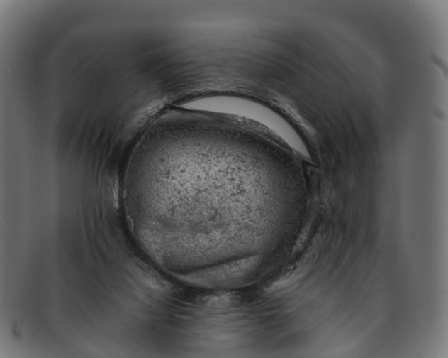 X0000091650068200709131458