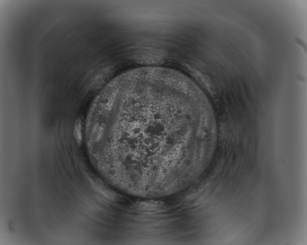 X0000091650069200709131458