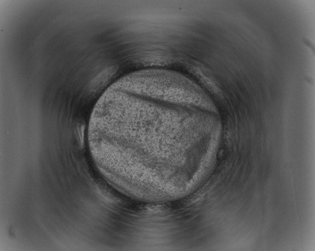 X0000091650070200709131458