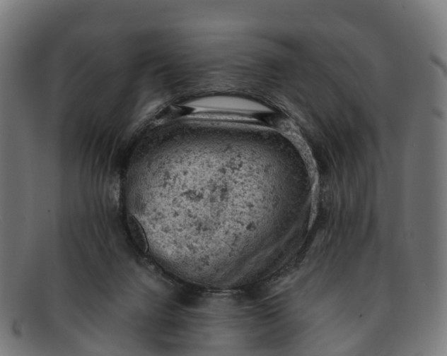 X0000091650072200709131458