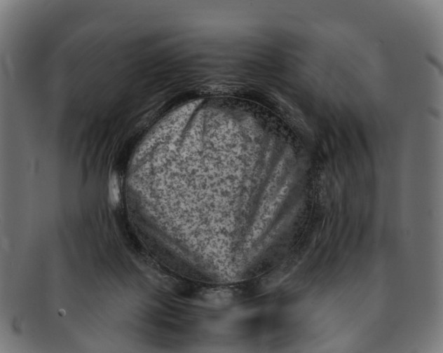 X0000091650075200709131459