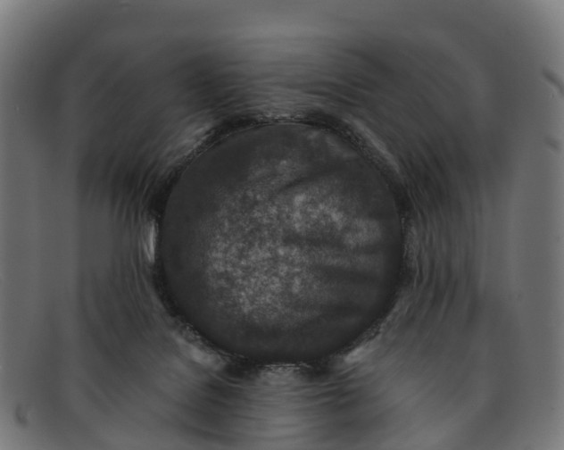 X0000091650076200709131459