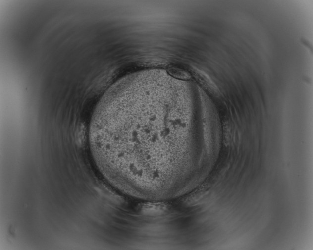 X0000091650077200709131459