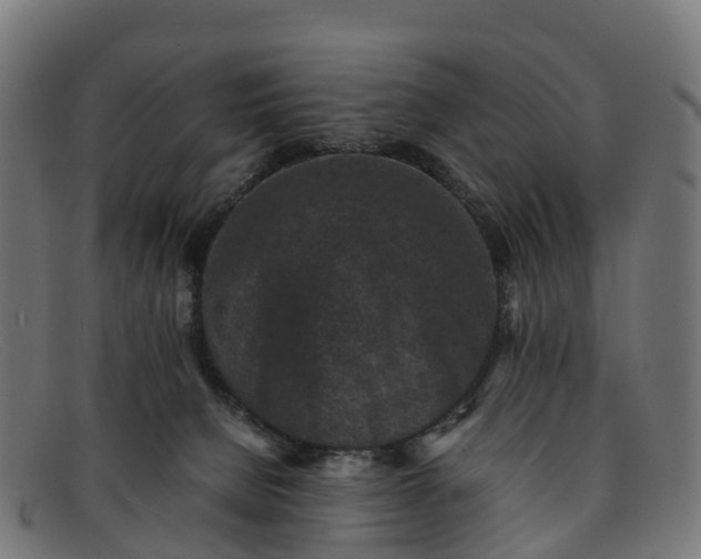 X0000091650080200709131459