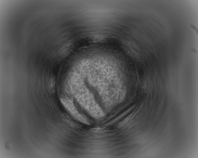 X0000091650082200709131459