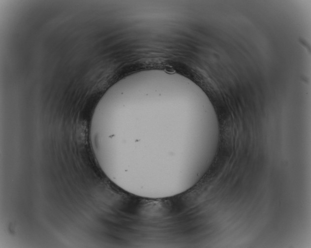 X0000091650083200709131459