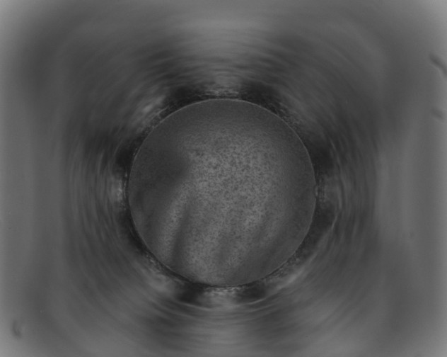 X0000091650084200709131459