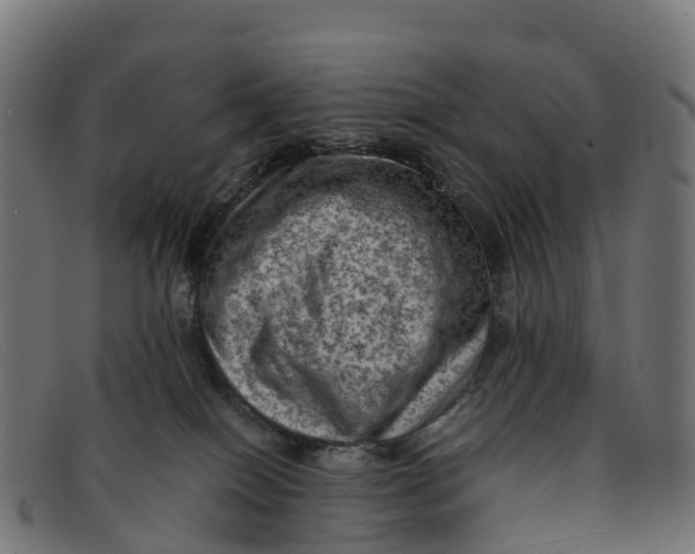 X0000091650086200709131459