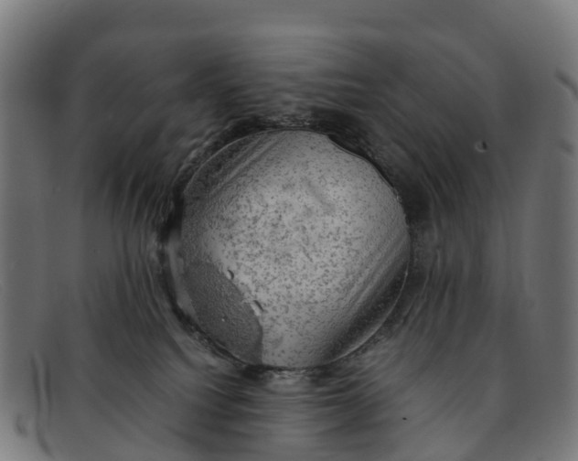 X0000091650088200709131459