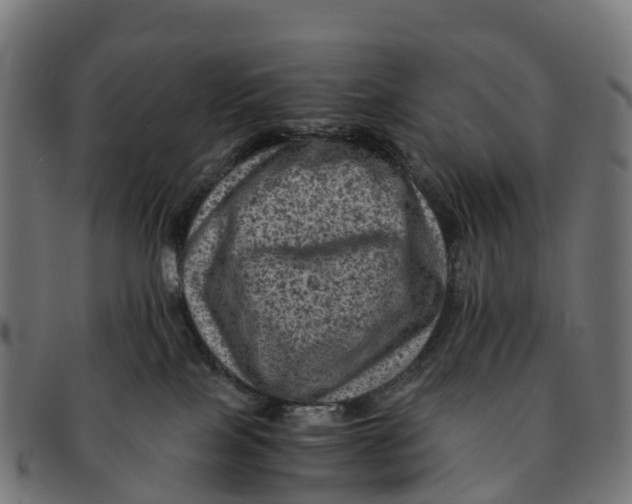 X0000091650089200709131459