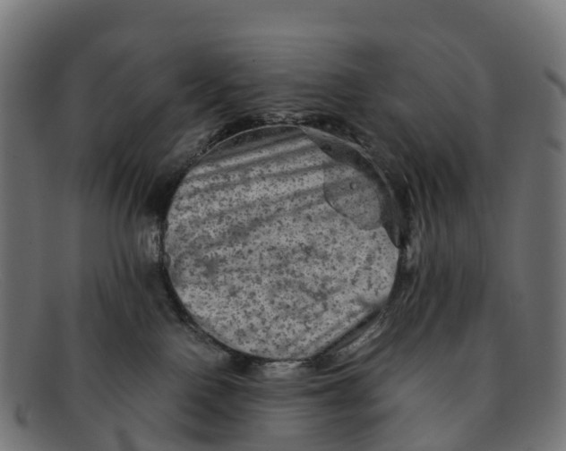 X0000091650090200709131459