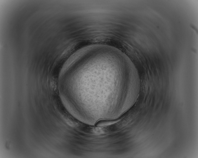 X0000091650091200709131459