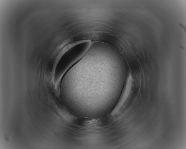 X0000091650092200709131459