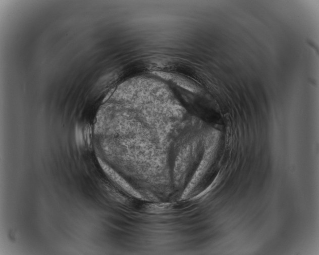 X0000091650094200709131459