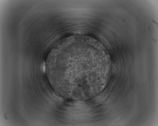 X0000091650095200709131459