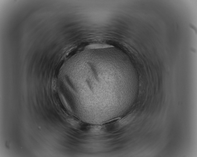 X0000091650096200709131459