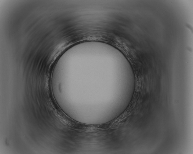 X0000091650098200709131458