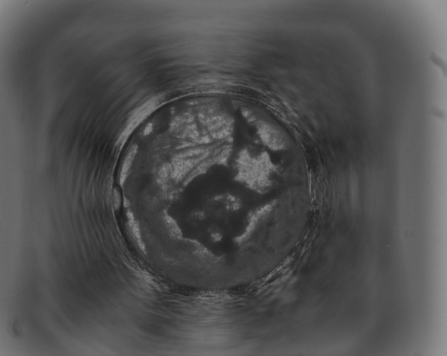 X0000091650099200709131458