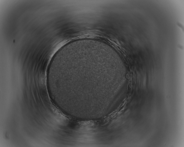 X0000091650100200709131458