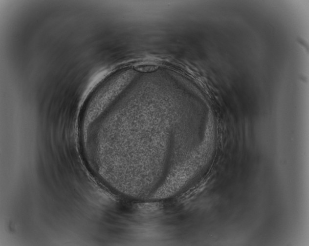 X0000091650102200709131458