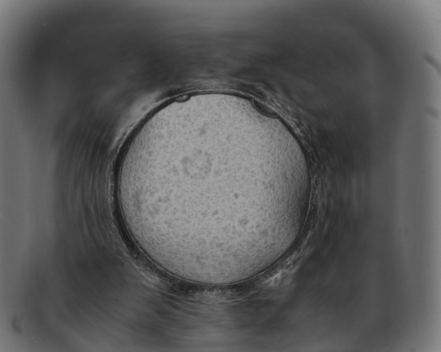 X0000091650103200709131458