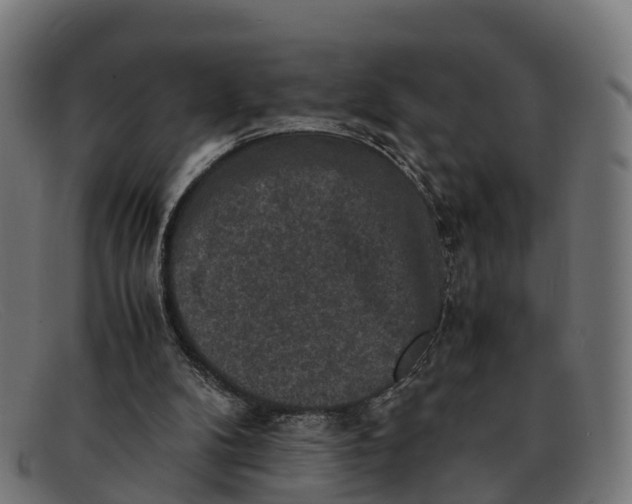 X0000091650104200709131458