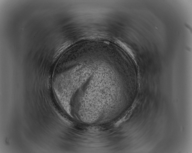 X0000091650105200709131458