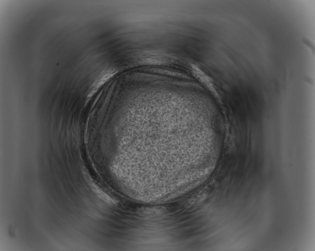 X0000091650106200709131458