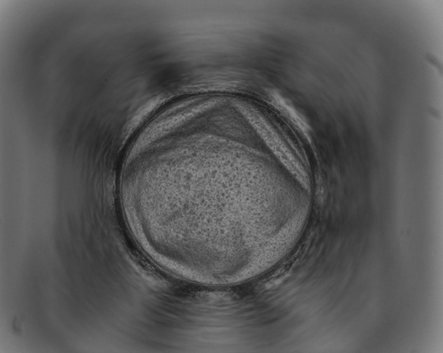 X0000091650107200709131458