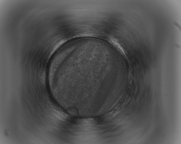 X0000091650108200709131458