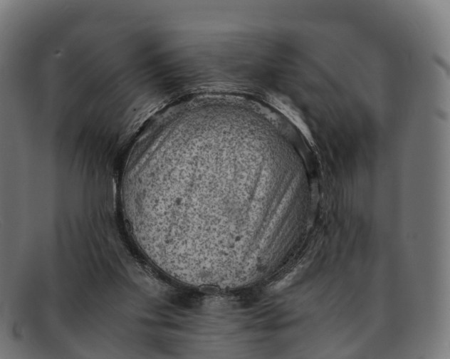 X0000091650109200709131458