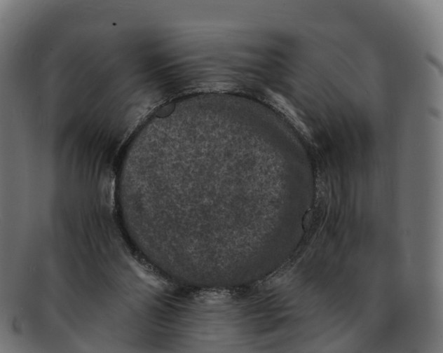 X0000091650110200709131458