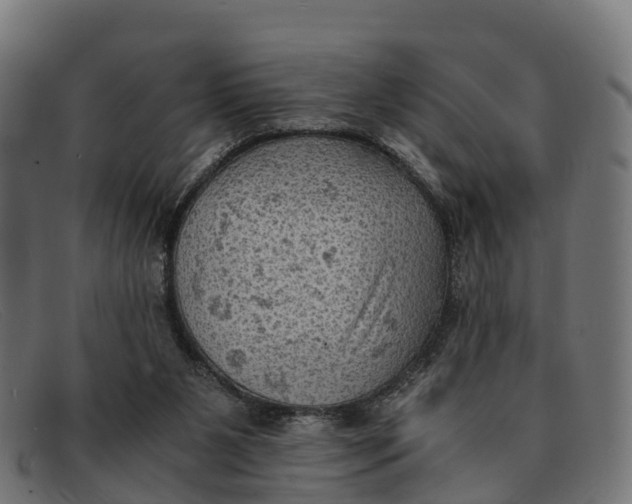 X0000091650111200709131458